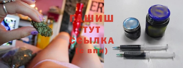соль ск Кулебаки