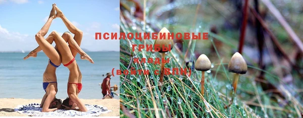 соль ск Кулебаки