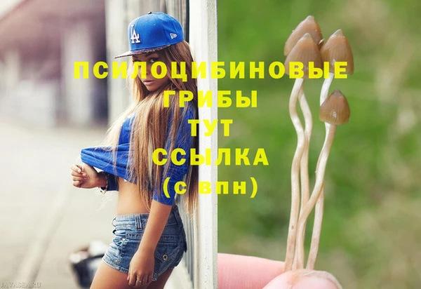 синтетический гашиш Красноперекопск