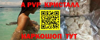 крисы Малгобек
