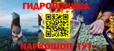 крисы Малгобек