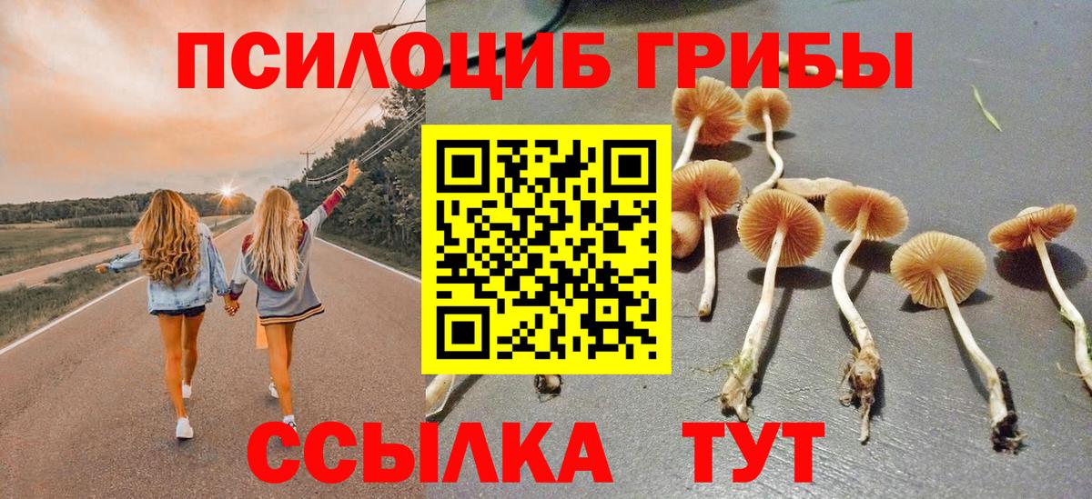 Галлюциногенные грибы Magic Shrooms  Галлюциногенные грибы MAGIC MUSHROOMS  Вход с VPN  цена наркотик  Мичуринск 